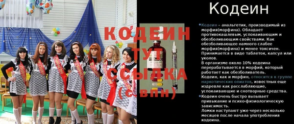 стаф Гусев