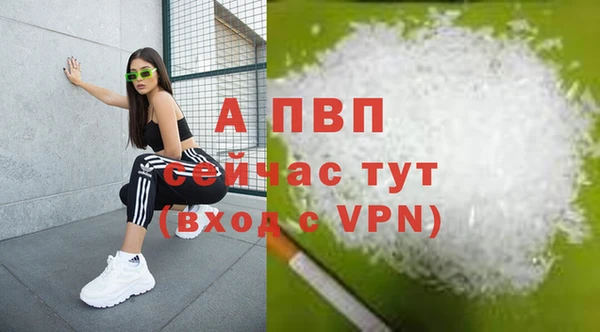 стаф Гусев