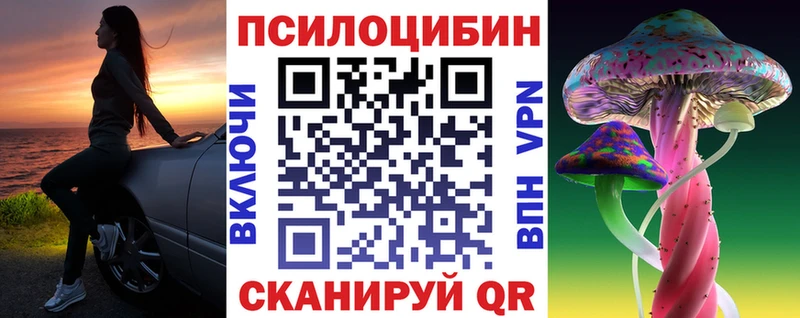 Псилоцибиновые грибы Psilocybine cubensis  купить наркоту  Железногорск-Илимский 